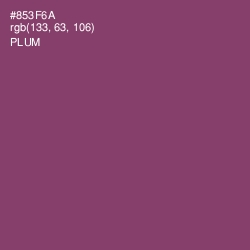 #853F6A - Plum Color Image