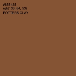 #855435 - Potters Clay Color Image