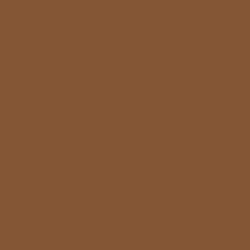 #855636 - Potters Clay Color Image