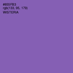 #855FB3 - Wisteria Color Image