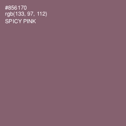 #856170 - Spicy Pink Color Image
