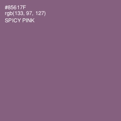 #85617F - Spicy Pink Color Image