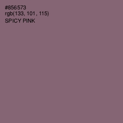 #856573 - Spicy Pink Color Image