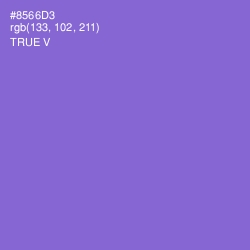 #8566D3 - True V Color Image