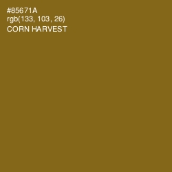 #85671A - Corn Harvest Color Image