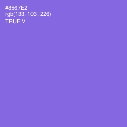 #8567E2 - True V Color Image