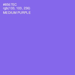 #8567EC - Medium Purple Color Image