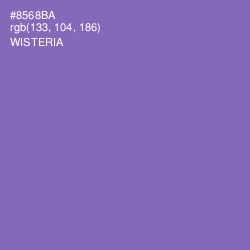 #8568BA - Wisteria Color Image