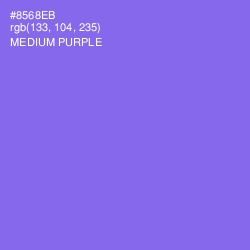 #8568EB - Medium Purple Color Image