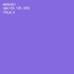 #8569E1 - True V Color Image