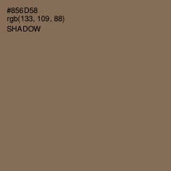 #856D58 - Shadow Color Image