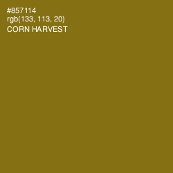 #857114 - Corn Harvest Color Image