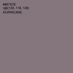 #85767E - Hurricane Color Image