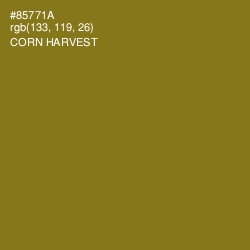 #85771A - Corn Harvest Color Image