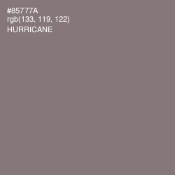 #85777A - Hurricane Color Image