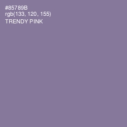 #85789B - Trendy Pink Color Image