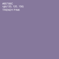 #85789C - Trendy Pink Color Image