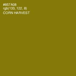 #857A08 - Corn Harvest Color Image