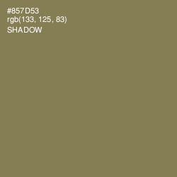#857D53 - Shadow Color Image