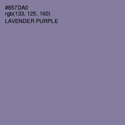 #857DA0 - Lavender Purple Color Image