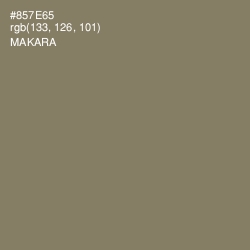 #857E65 - Makara Color Image