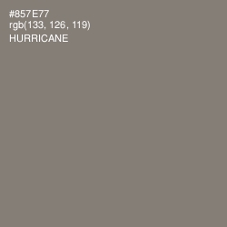 #857E77 - Hurricane Color Image