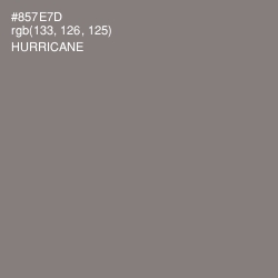 #857E7D - Hurricane Color Image