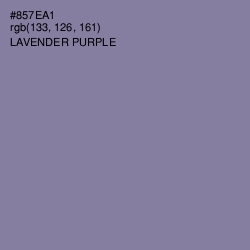 #857EA1 - Lavender Purple Color Image