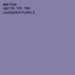 #857EA9 - Lavender Purple Color Image