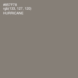 #857F78 - Hurricane Color Image
