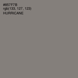 #857F7B - Hurricane Color Image