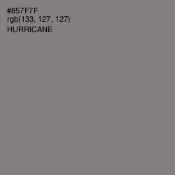 #857F7F - Hurricane Color Image