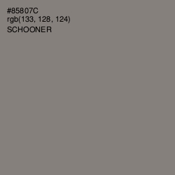 #85807C - Schooner Color Image