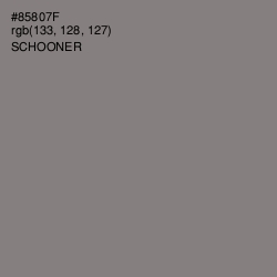 #85807F - Schooner Color Image