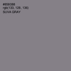 #858088 - Suva Gray Color Image