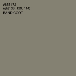 #858172 - Bandicoot Color Image