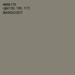 #858175 - Bandicoot Color Image