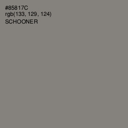 #85817C - Schooner Color Image