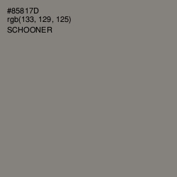 #85817D - Schooner Color Image