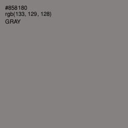 #858180 - Gray Color Image