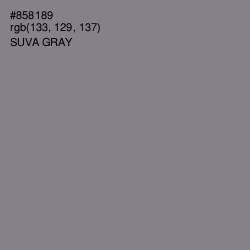 #858189 - Suva Gray Color Image