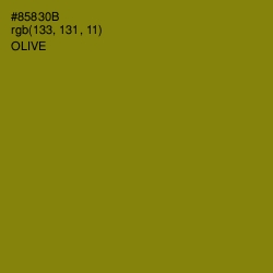 #85830B - Olive Color Image