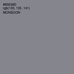 #85858D - Monsoon Color Image