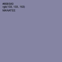 #8585A3 - Manatee Color Image