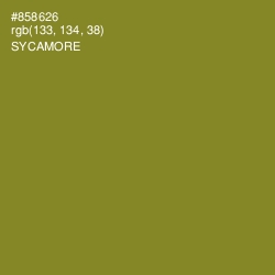 #858626 - Sycamore Color Image
