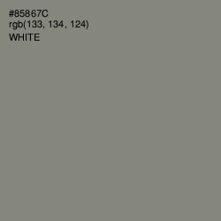 #85867C - Schooner Color Image