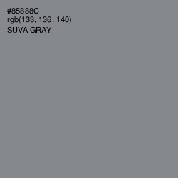 #85888C - Suva Gray Color Image