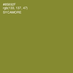 #85892F - Sycamore Color Image
