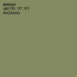 #858961 - Avocado Color Image