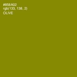 #858A02 - Olive Color Image